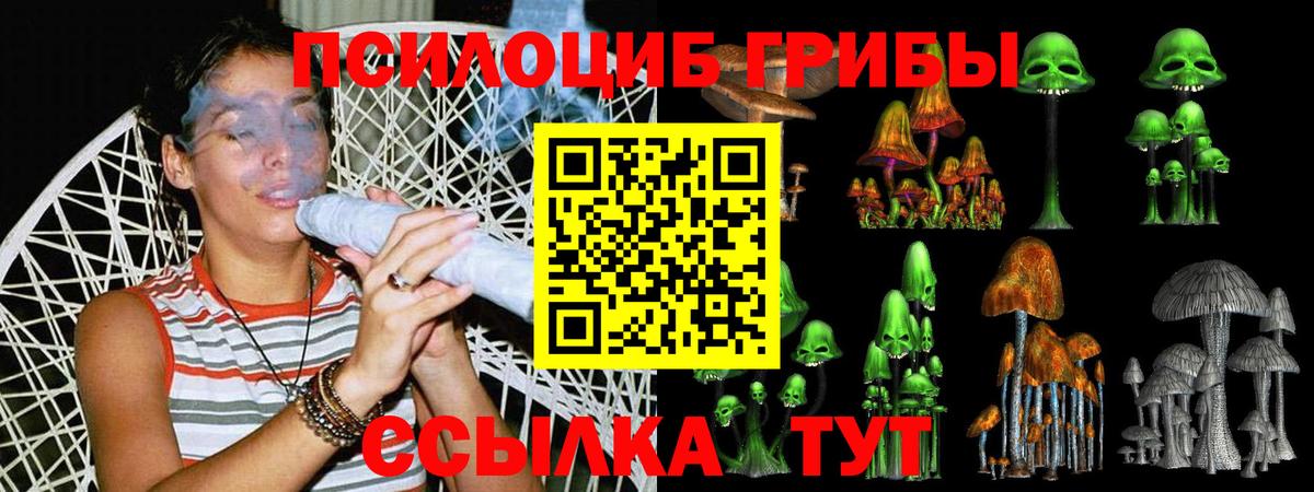 Оренбург  Псилоцибиновые грибы мухоморы  Вход с VPN 